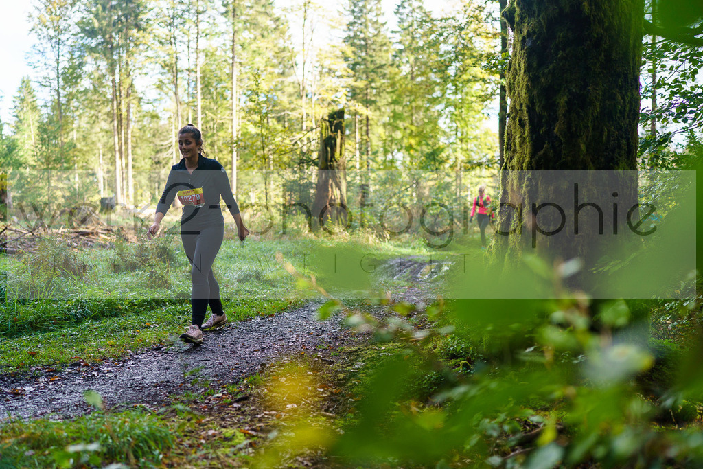 Herbstlauf 2024 | Rennsteig-Herbstlauf von Neuhaus am Rennweg nach Masserberg am 6. Oktober 2024