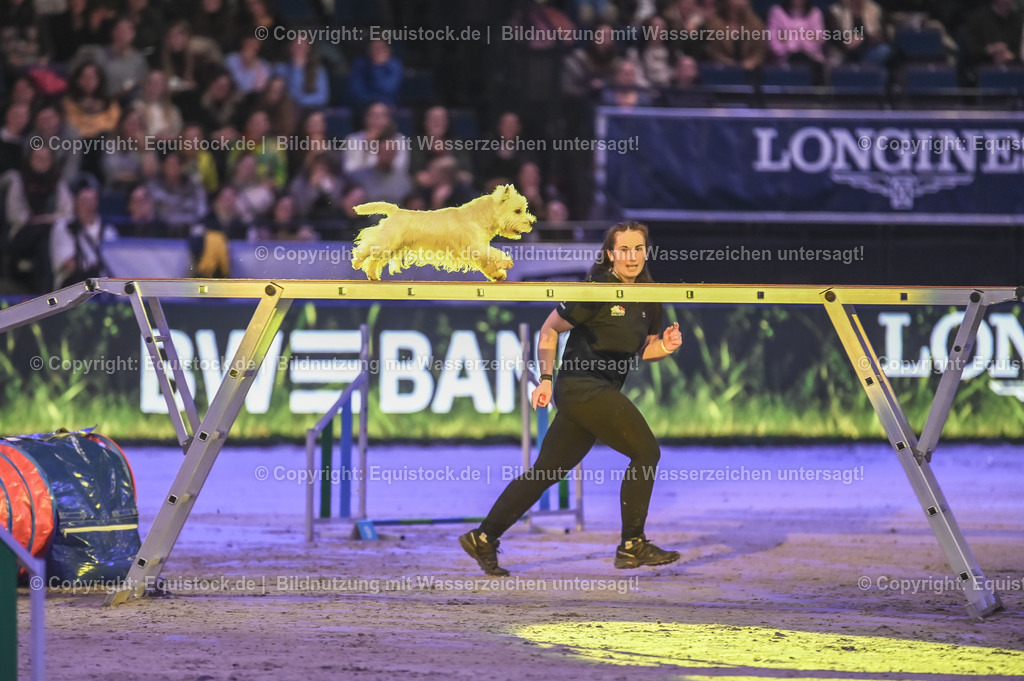 20231115_Dog-Agility_0070_TOMsPiC | Foto: Thomas Hartig