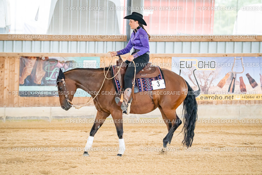 DSC06219 | Pferdegrafie