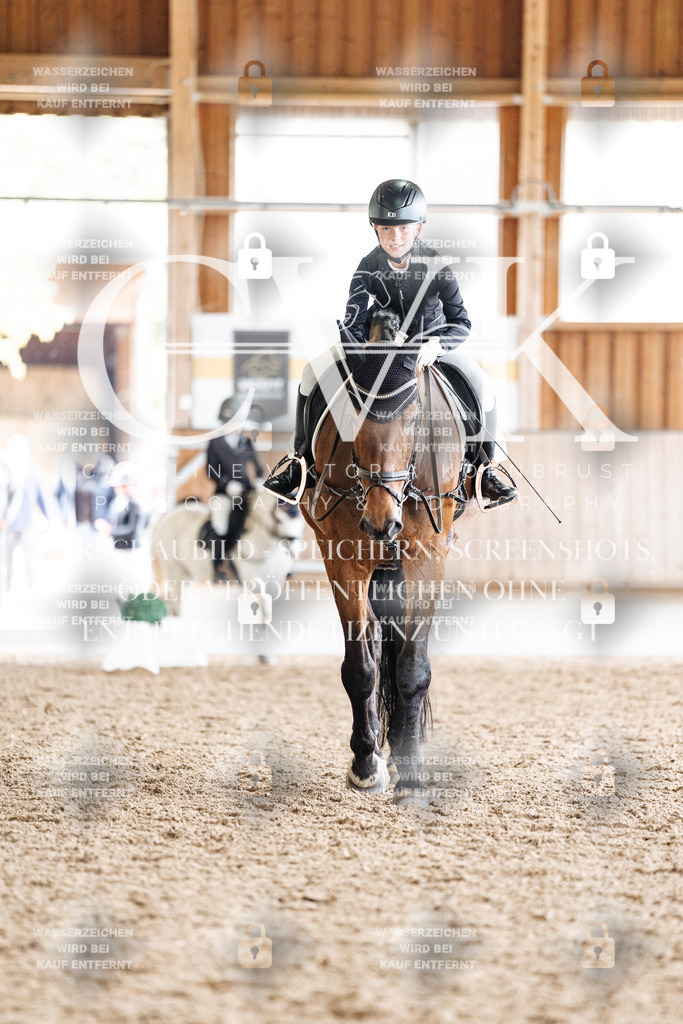 CK900877 | Turnierfotografie Pferdefotografie Trier Rheinland-Pfalz Pferdesport Reitsport Tierfotografie Sportfotografie Pferdevideo Pferdevideografie Equestrianvideography equestrianphotography  - Realisiert mit Pictrs.com