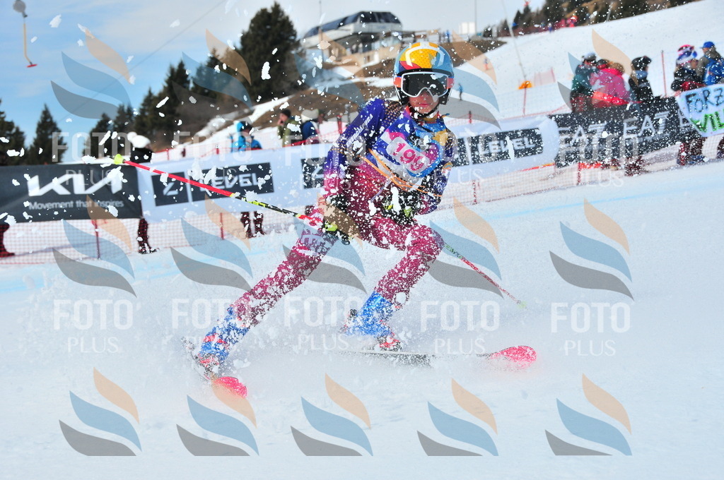 DSC_5556 | holidayphoto