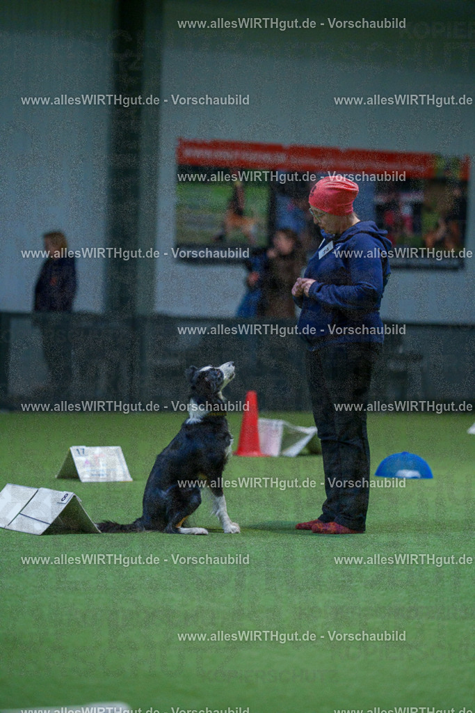 7R502711 | Professionelle Tierfotografie in Mönchengladbach von Daniel Wirth (allesWIRTHgut). Liebevolle & natürliche Bilder von Hunden & Katzen für unvergessliche Erinnerungen.