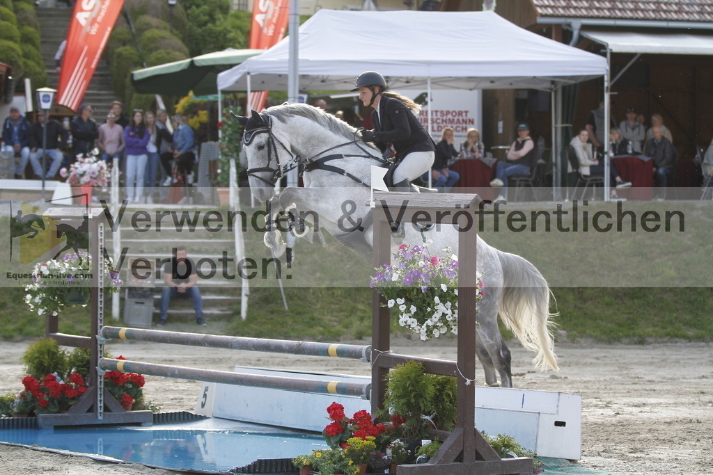 _MG_1365 | equestrian-live-com