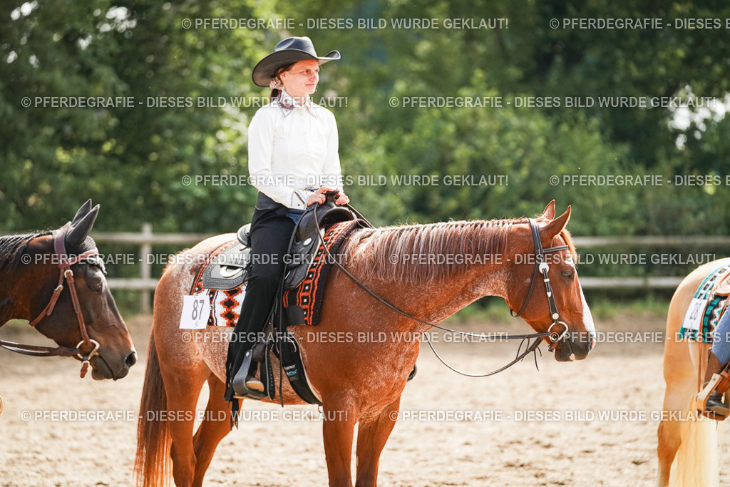 DSC04605 | Pferdegrafie