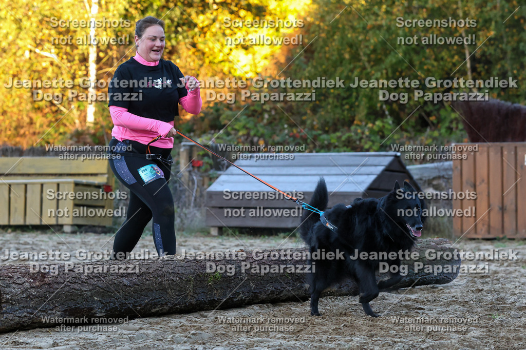 Dog Paparazzi - Strongdog 10-25-409 | Dog Paparazzi Jeanette Grottendiek Fotografie & Videografie - Realisiert mit Pictrs.com