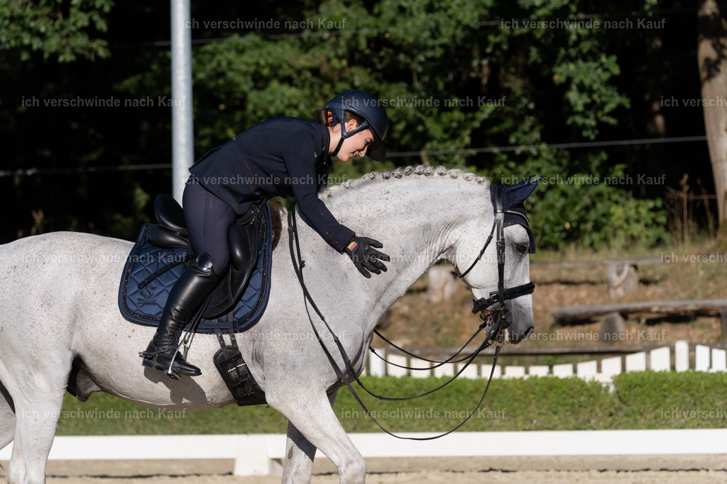WM_DR_143_sinafilmart_IN04634 | working equitationturnier fotograf videograf stoibphotography marixx film working equitation deutschland reitsport turnierfotografie eventfotografie equestrian events