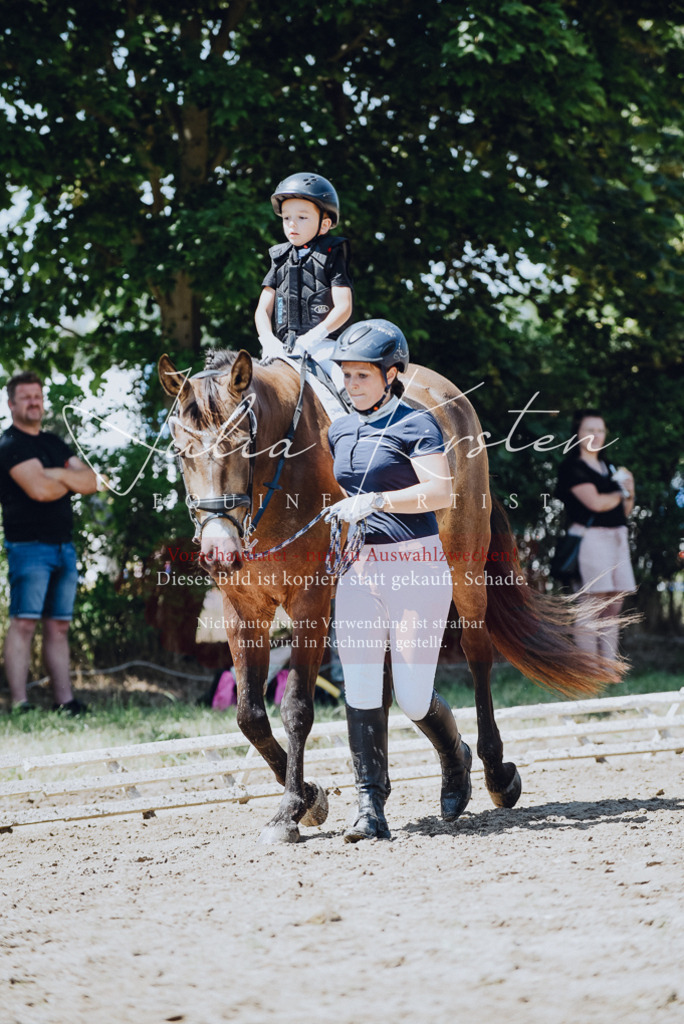 DSC_2489 | Pferde- und Turnierfotografie in Westsachsen. Pferdeportraits, Auftragszeichnungen und intuitive Kunst.