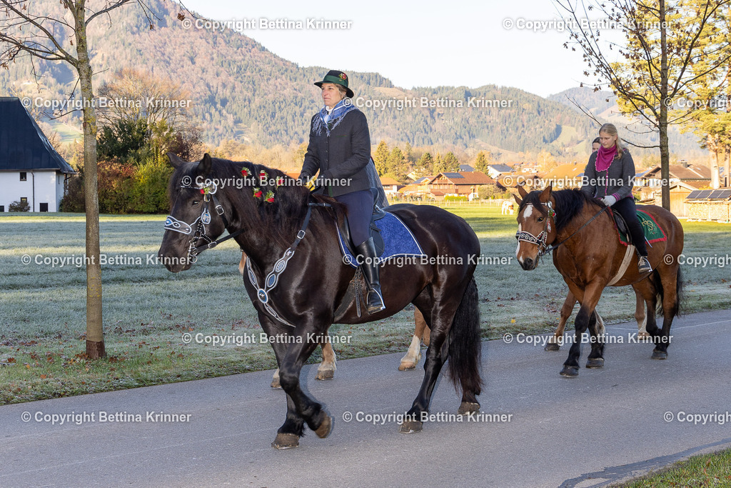 LL24-92 | foto-bettina-krinner - Realisiert mit Pictrs.com