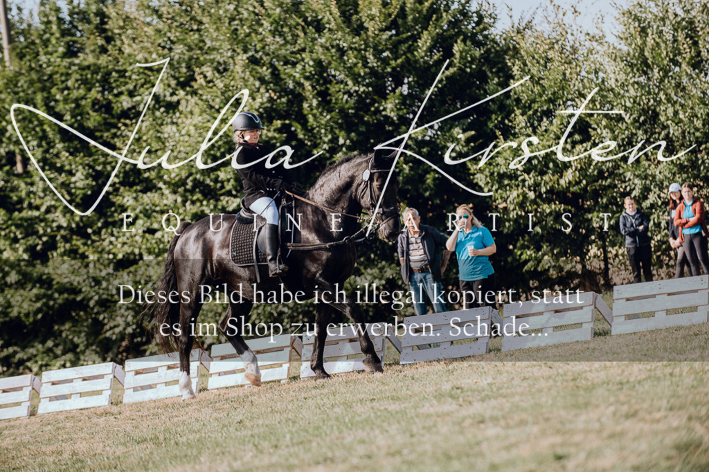 DSC_6983 | Pferde- und Turnierfotografie in Westsachsen. Pferdeportraits, Auftragszeichnungen und intuitive Kunst.