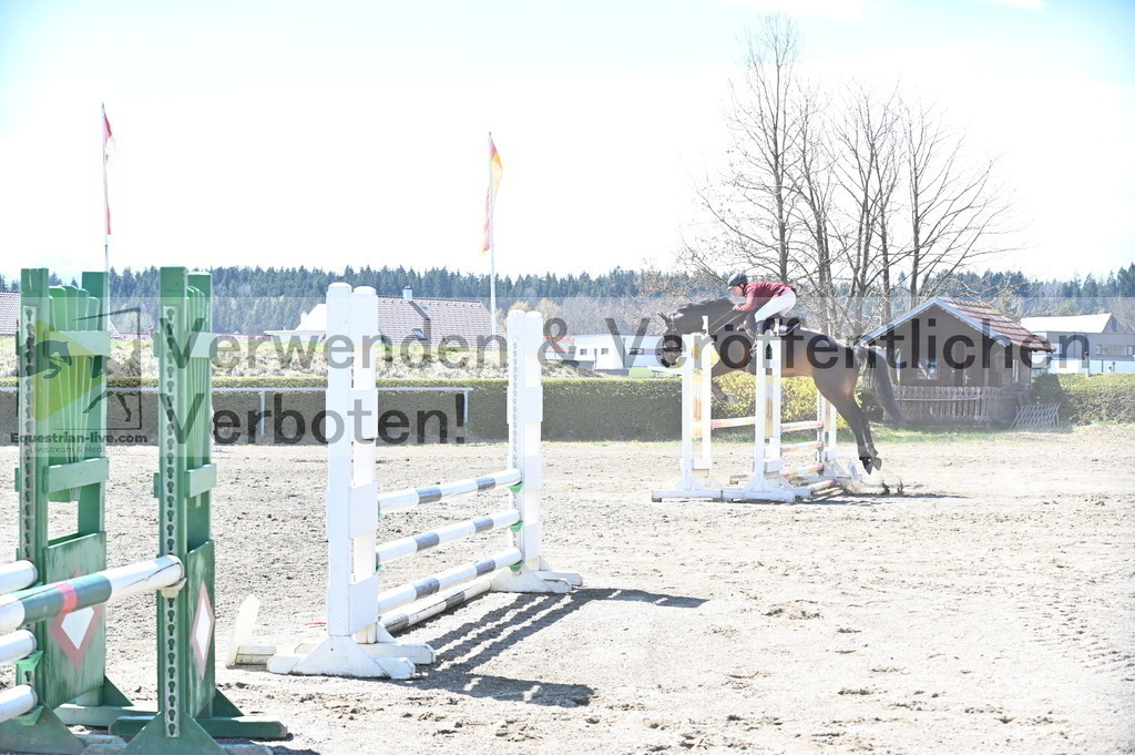 DSC_5336 | equestrian-live-com