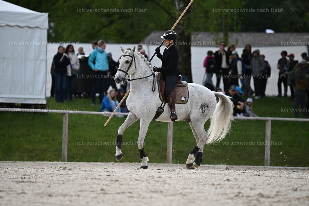PI26_ST_Sara_Landvogt226_2325.JPG | working equitationturnier fotograf videograf stoibphotography marixx film working equitation deutschland reitsport turnierfotografie eventfotografie equestrian events