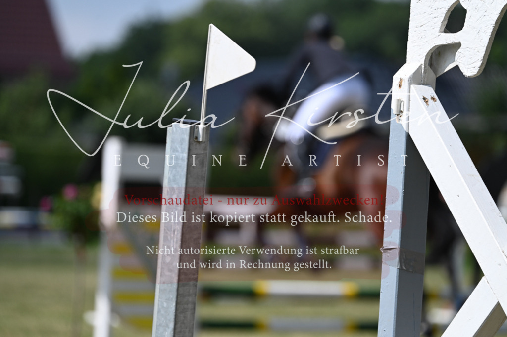 DSC_8764 | Pferde- und Turnierfotografie in Westsachsen. Pferdeportraits, Auftragszeichnungen und intuitive Kunst.