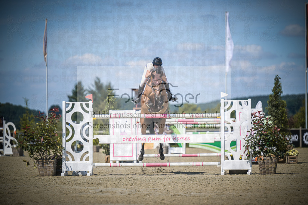 DOS_4521 | Entdecke hochwertige Reitturnierfotos von Foto Oger. Professionell, emotional und authentisch – jetzt Lieblingsmomente im Shop bestellen.Deutschlandweite Turnierfotografie. - Realisiert mit Pictrs.com