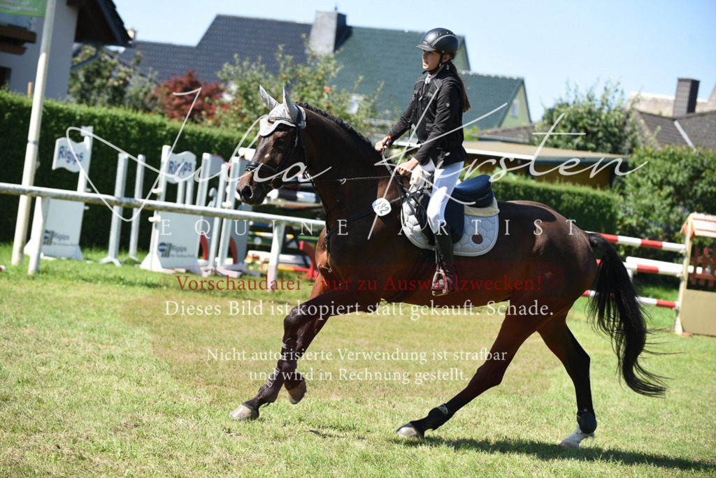 DSC_9449 | Pferde- und Turnierfotografie in Westsachsen. Pferdeportraits, Auftragszeichnungen und intuitive Kunst.