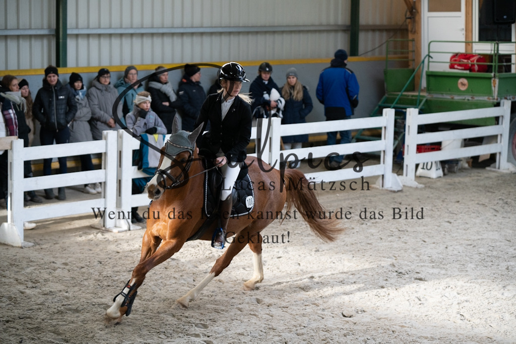 A7V01428 | Pferdefotograf