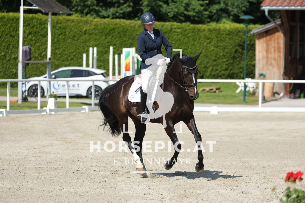 0P6A0458 | Willkommen bei Brunnmayr - Design & Fotografie – Ihrem Spezialisten für Reitturniere und Pferdeveranstaltungen in Oberösterreich, Salzburg und Bayern! Seit über 17 Jahren sind wir leidenschaftlich dabei.