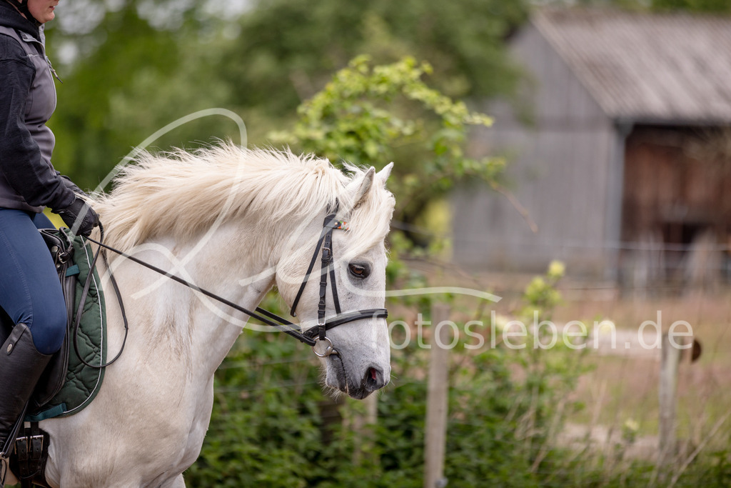 846A0637 | fotosleben - Realisiert mit Pictrs.com