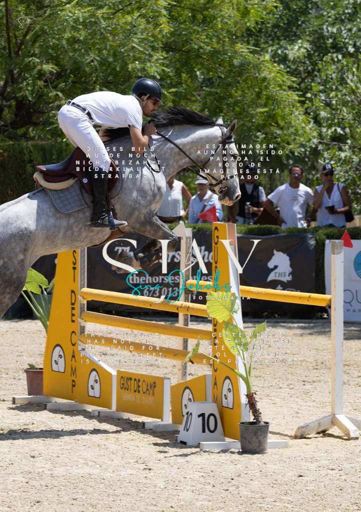 IMG_7474 | s-jay-photography - Realisiert mit Pictrs.com