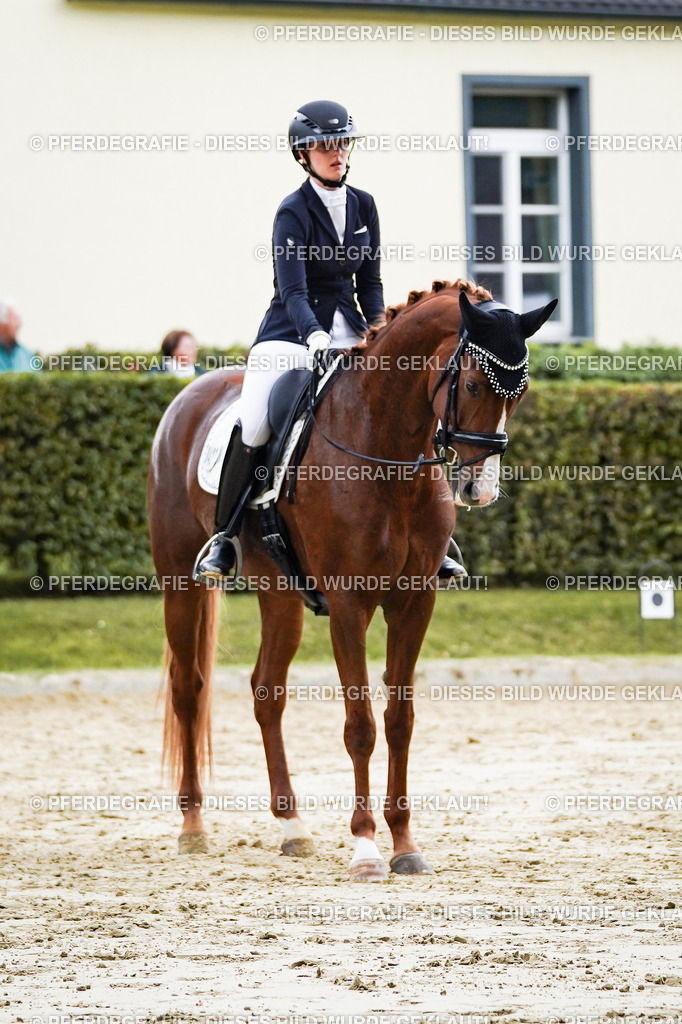 DSC06871 | Pferdegrafie