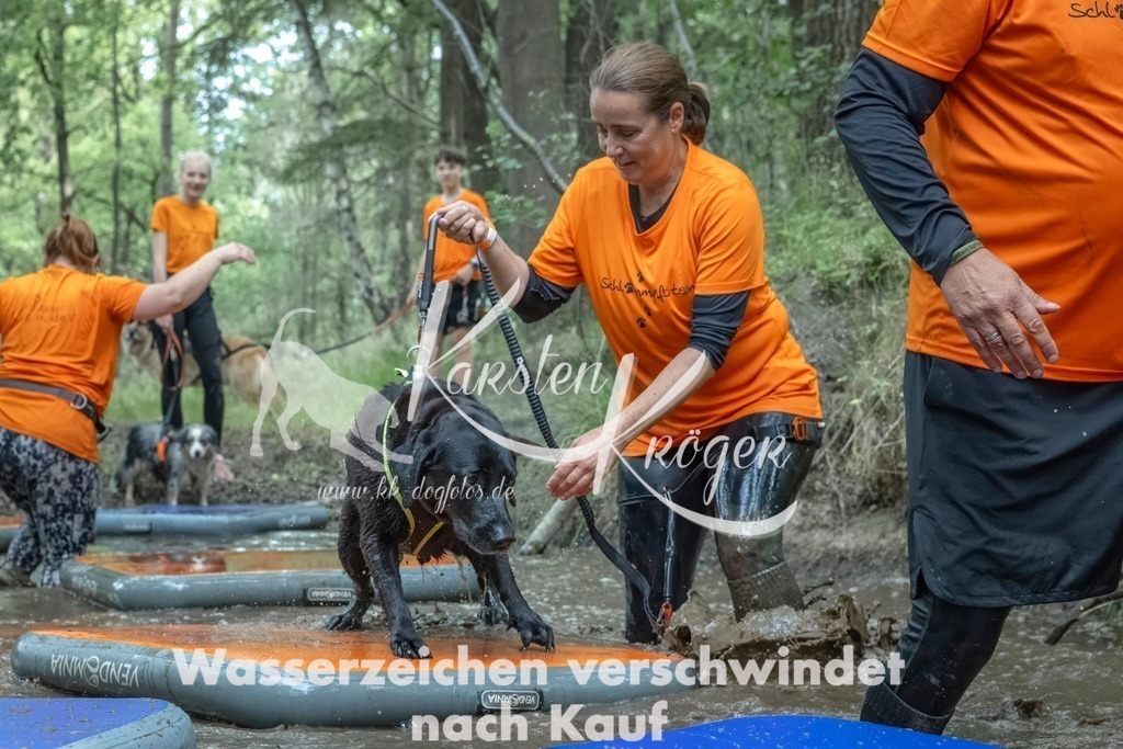 0907_ZZ90321T | kk-dogfotos
