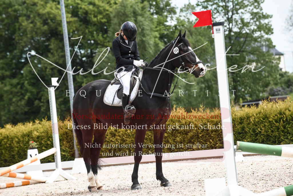 20230518_JK-Röhrsdorf-10-815 | Pferde- und Turnierfotografie in Westsachsen. Pferdeportraits, Auftragszeichnungen und intuitive Kunst.