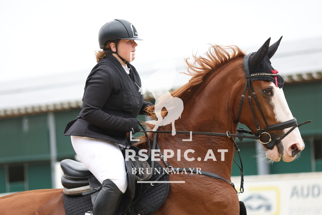 0P6A1521 | Willkommen bei Brunnmayr - Design & Fotografie – Ihrem Spezialisten für Reitturniere und Pferdeveranstaltungen in Oberösterreich, Salzburg und Bayern! Seit über 17 Jahren sind wir leidenschaftlich dabei.