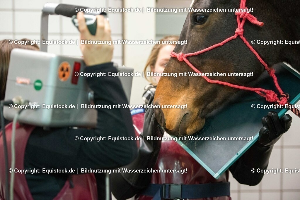 20170113_R__ntgen_0044 | Foto: Thomas Hartig