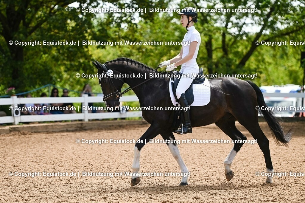 20230716_03_Dressurprfg. Kl.L - Tr._0017 | equistock