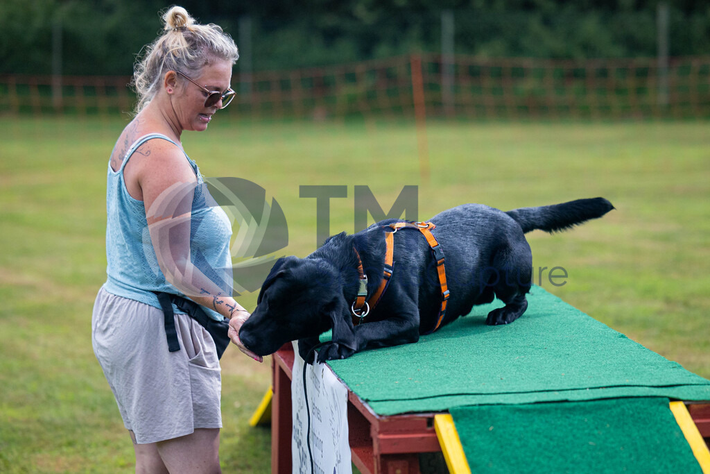 TP-20240815-0031 | Copyright: Trainproduction / Matthias Trinkl