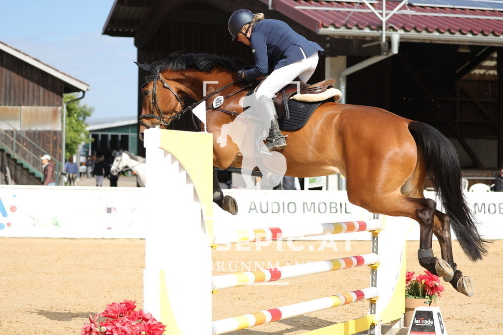 0P6A6420 | Willkommen bei Brunnmayr - Design & Fotografie – Ihrem Spezialisten für Reitturniere und Pferdeveranstaltungen in Oberösterreich, Salzburg und Bayern! Seit über 17 Jahren sind wir leidenschaftlich dabei.