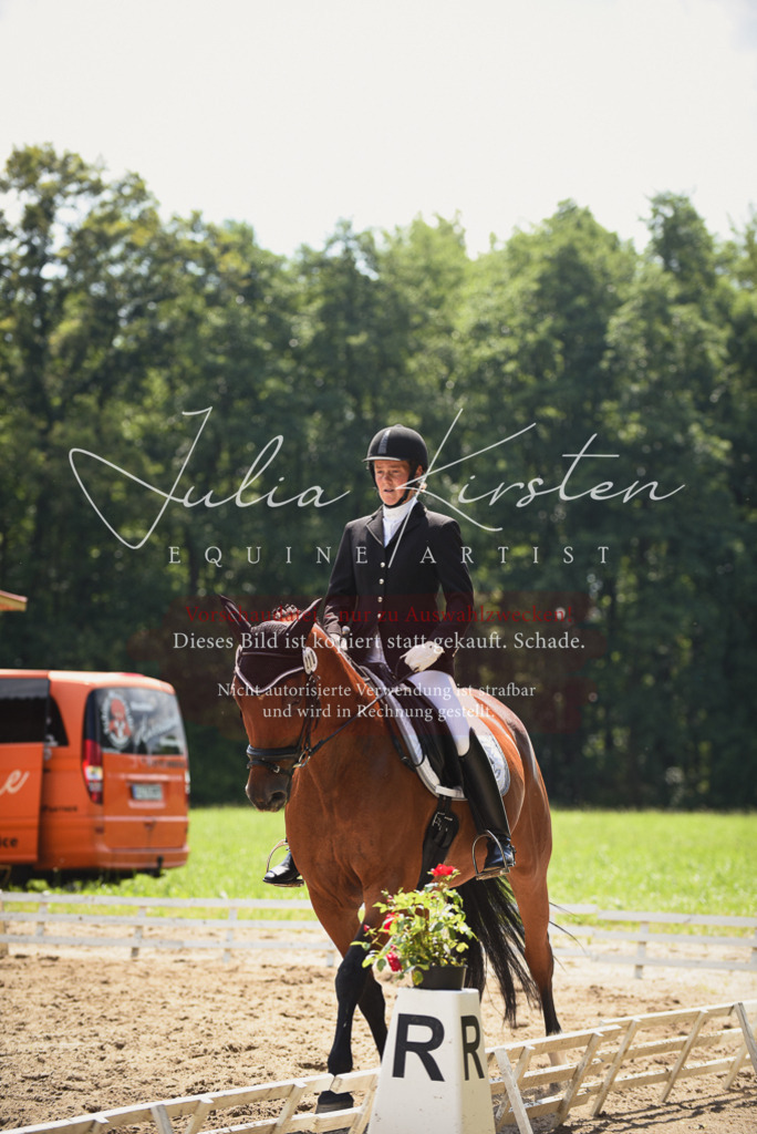 DSC_1018 | Pferde- und Turnierfotografie in Westsachsen. Pferdeportraits, Auftragszeichnungen und intuitive Kunst.
