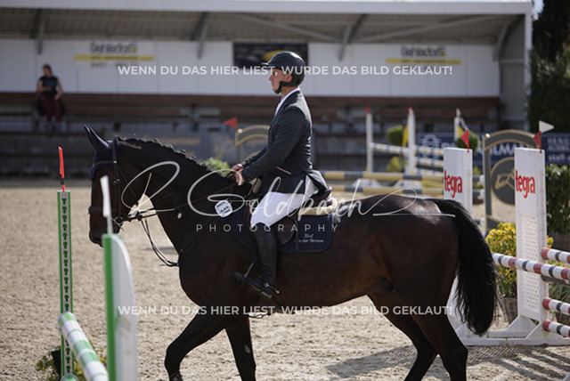 1J2A7724Cedric Becat_ Bismarck von der Streem_ Kn058_ Havekost | Foto- und Videografie für alles rund ums Pferd. Hochwertige Bilder und Videos vom Spring- und Dressurreiten, Voltigieren & mehr. Jetzt aktuelle Veranstaltungen und Preise im Shop ansehen. - Realisiert mit Pictrs.com