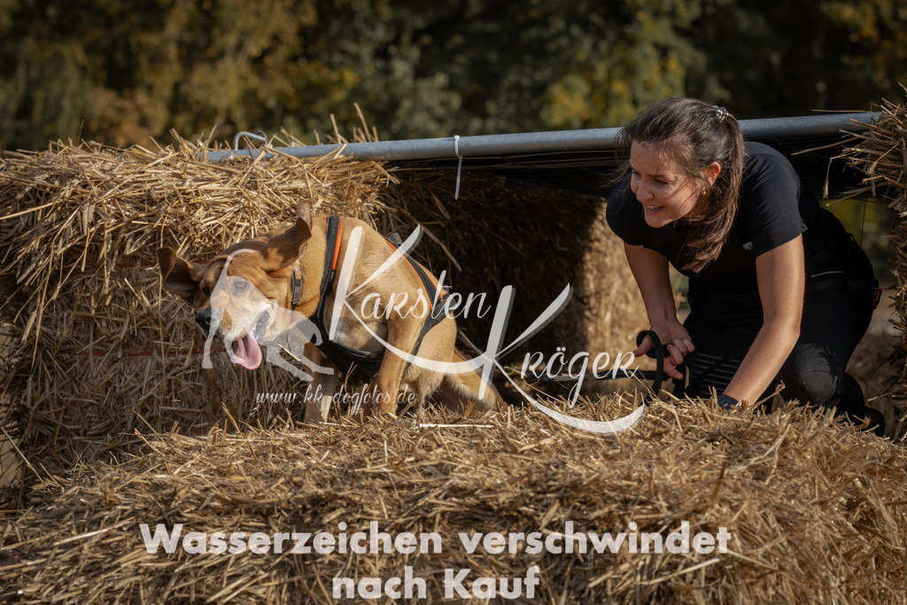 1032_ZZ98666 | kk-dogfotos