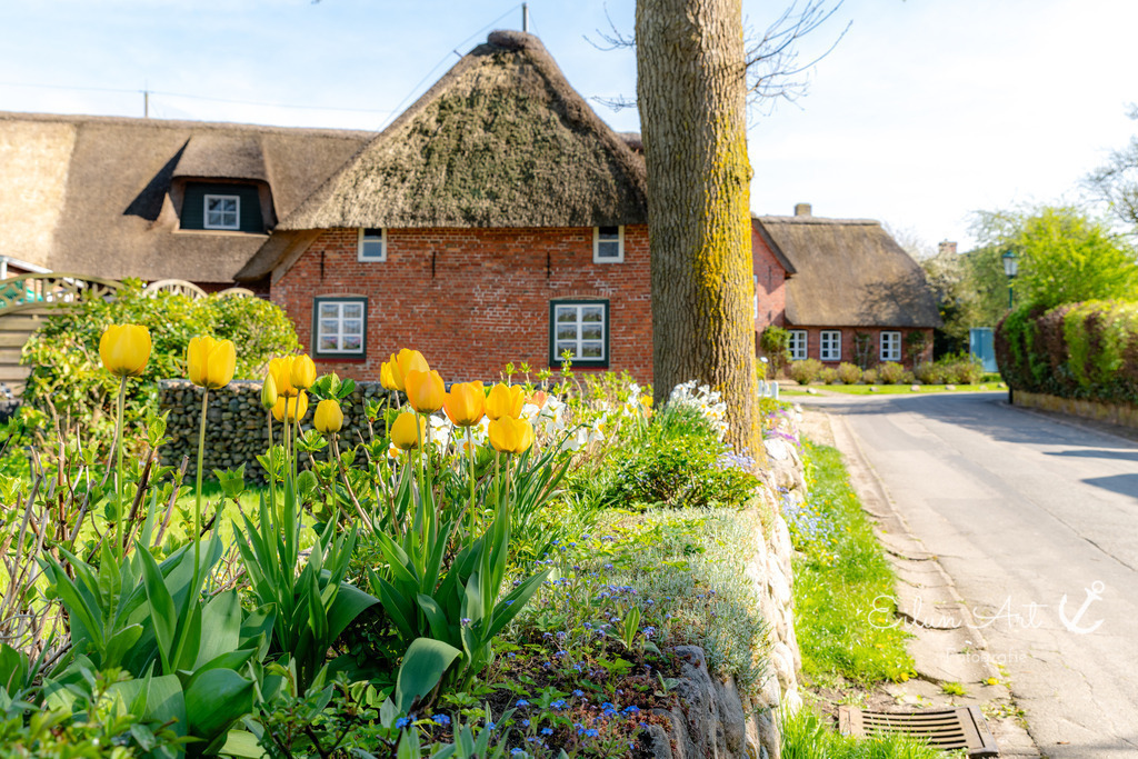 20250424-EAF_8118 | Eilun-Art-Fotografie Levke Martens, ihre Fotografin für Immobilien- und Landschaftsfotografie auf Föhr, Föhrer Motive als Poster, Leinwand, hinter Acrylglas oder stelle dir deinen eigenen Monatskalender zusammen, mit nur einem Klick