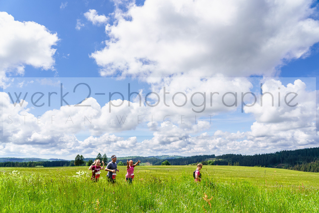 Rennsteiglauf Marathon 2024 | 25. Mai 2024 - 42,2 km von Neuhaus nach Schmiedefeld