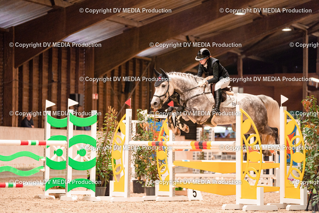 Springen Tag 3-157 | dv-media-shop - Realisiert mit Pictrs.com