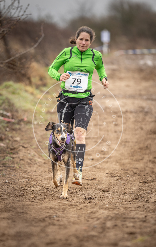 DV3A9836 | Hundefotografie, Tierfotograf, Pfotenfotografie, Fotoshooting Hund, Hunde Portrait, Hundesport, Hundeportraits, Heideshooting, Hunde, Sportfotograf, Hundefotograf, Turnierhundsport, THS,  - Realisiert mit Pictrs.com