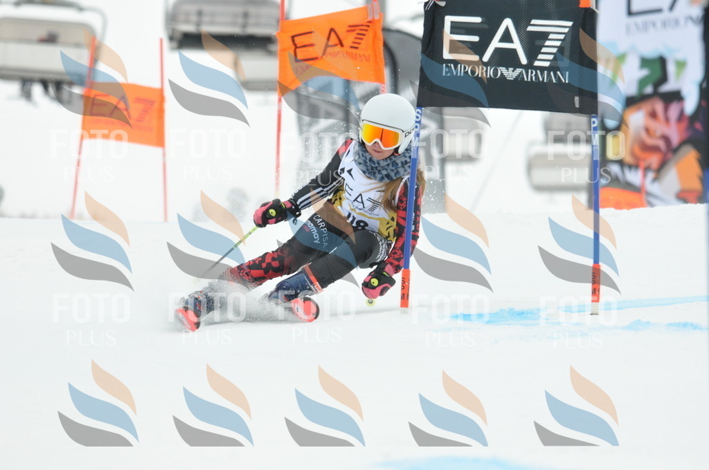 DSC_8196 | holidayphoto