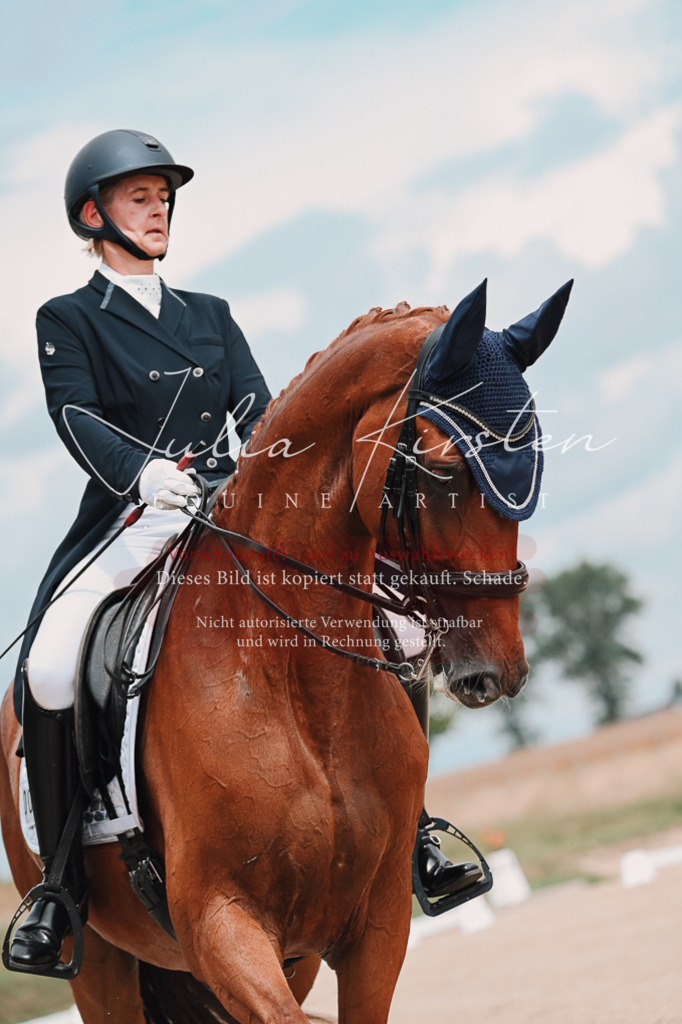 DSC_4222 | Pferde- und Turnierfotografie in Westsachsen. Pferdeportraits, Auftragszeichnungen und intuitive Kunst.