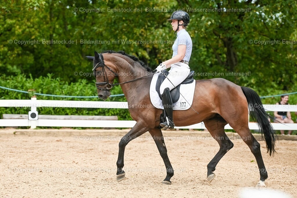 20230715_02_Dressurreiterprüfung Kl.L_0423 | equistock