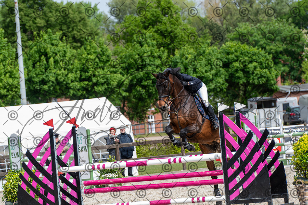 KPT_8912 | andre_photographic