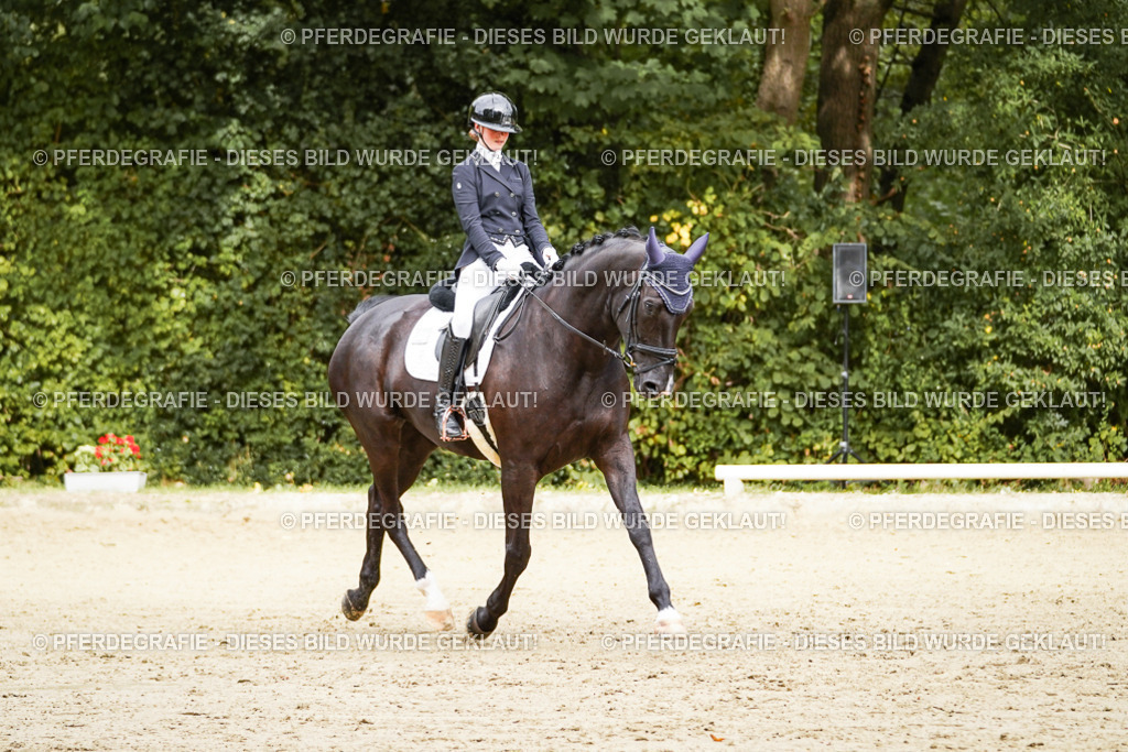 DSC00046 | Pferdegrafie