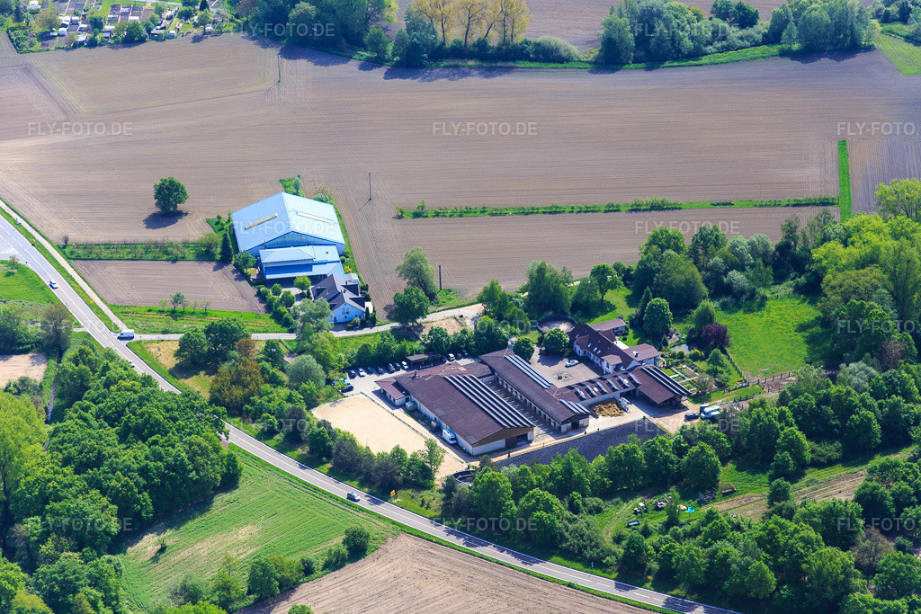 Luftbild: Pferdepension in Hagenbach im Bundesland Rheinland-Pfalz in Deutschland. Foto: IMG_078383.jpg vom 08.05.2015 durch Werner Riehm/FLY-FOTO.de