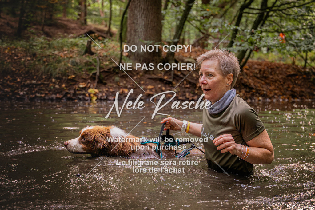 nelerasche_SaWingst0845-1000_320 | nelerasche