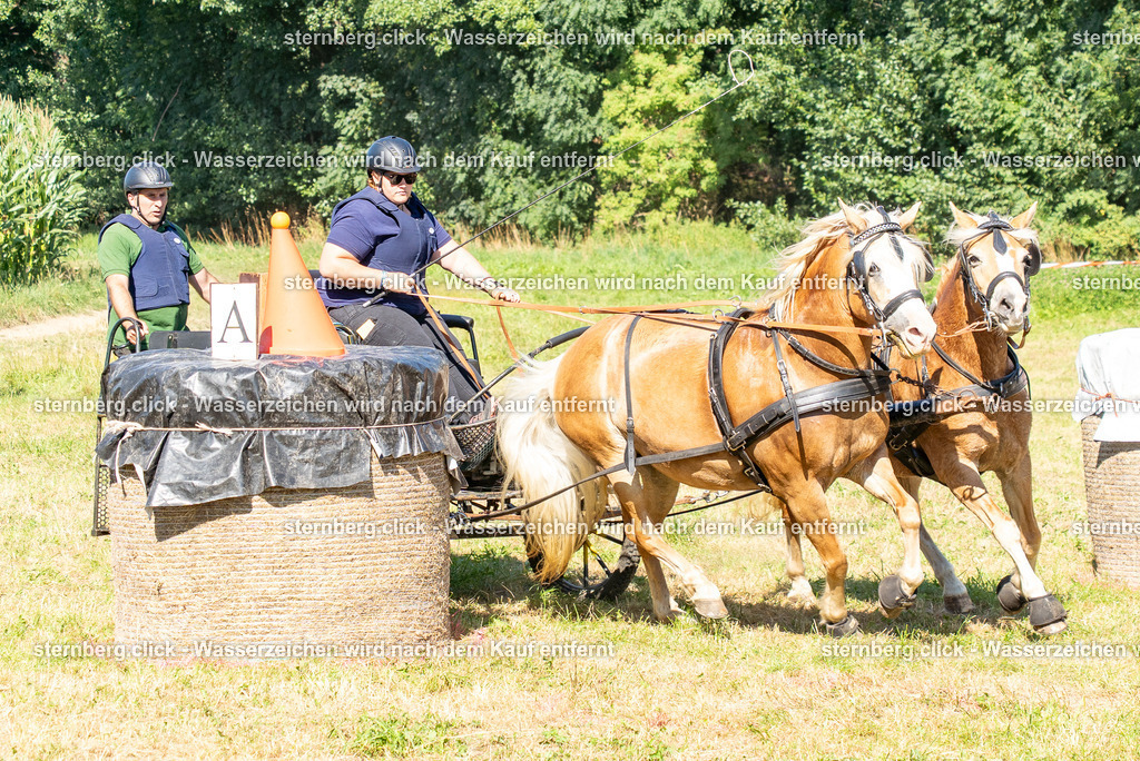 2026-08-08_14-45-53_WBO_Pulsnitz | sternberg.click - Realisiert mit Pictrs.com