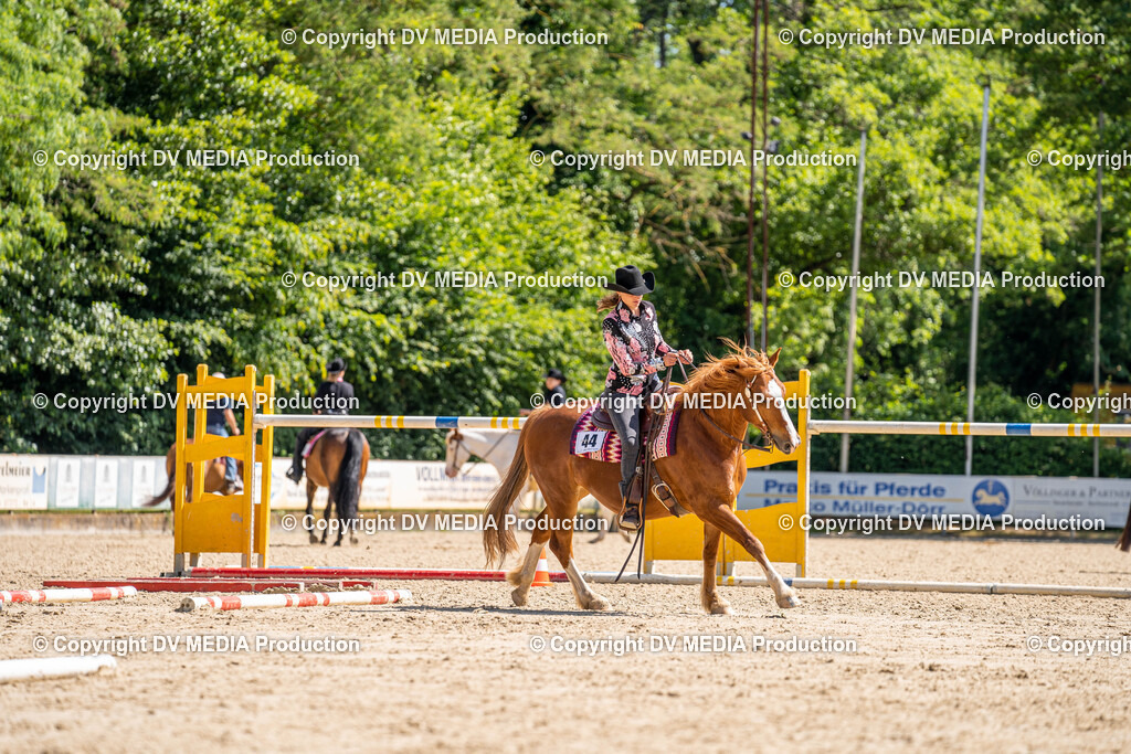 Zeiskam Tag 2-1011 | dv-media-shop - Realisiert mit Pictrs.com