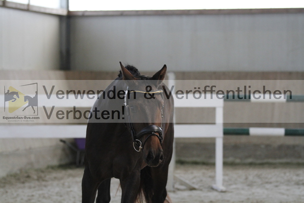 _MG_9416 | equestrian-live-com