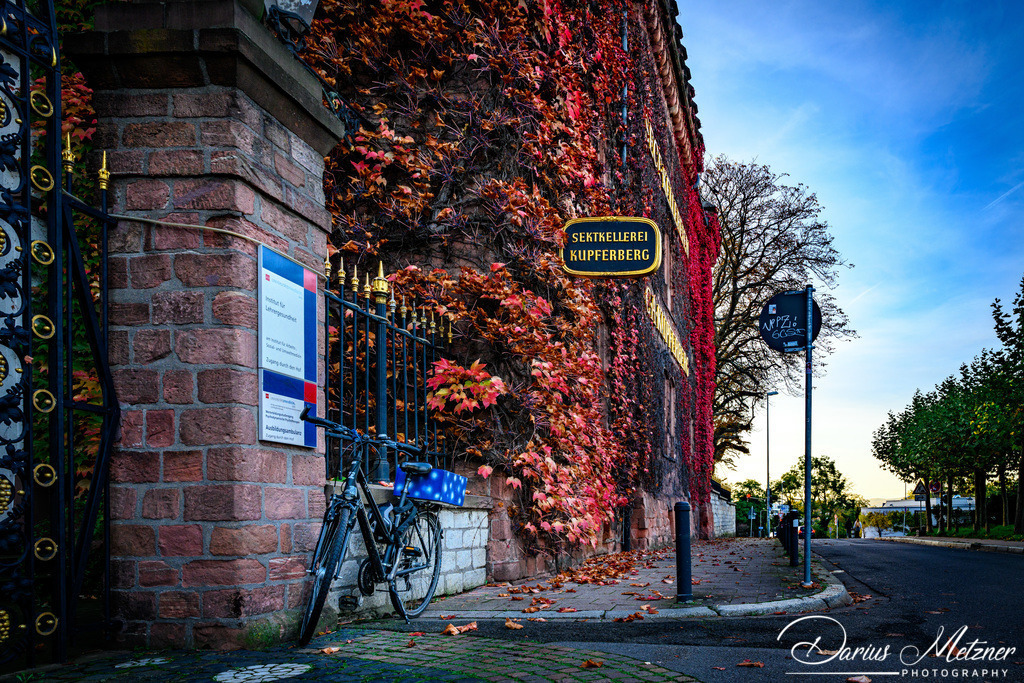 Die Kupferbergterasse in Mainz | Die Kupferbergterasse in Mainz