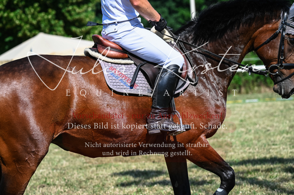 DSC_1645 | Pferde- und Turnierfotografie in Westsachsen. Pferdeportraits, Auftragszeichnungen und intuitive Kunst.