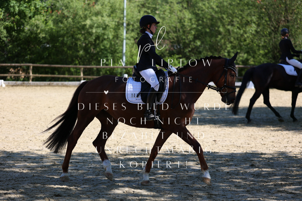 IMGT0234 | pl-fotografie